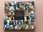 Schapen in Nederland - 65 Schapenrassen - NIEUW, Boeken, Dieren en Huisdieren, Ophalen of Verzenden, Zo goed als nieuw, Vee