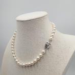 Zonder Minimumprijs - Halsketting Zilver - Akoya Parel 8mm, Nieuw