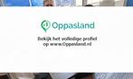 Christi zoekt een oppas in Hilversum voor 3 kinderen., Nieuw