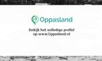 Aafke zoekt een oppas in Rotterdam voor 2 kinderen.