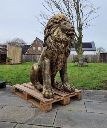 Beeld, XL Giant Gold Lion - 135 cm - Hars beschikbaar voor biedingen