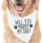 Button en slinger set huwelijksaanzoek 3-delig, Verzenden, Nieuw, Versiering, Valentijn of Romantisch