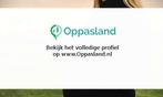Inge zoekt een oppas in Zuilichem voor 3 kinderen voor 5...