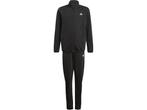 Veiling - Adidas Trainingspak (maat 176), Kleding | Heren, Sportkleding, Nieuw