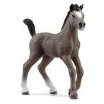 schleich HORSE CLUB Selle Francais Veulen 13957, Ophalen of Verzenden, Nieuw