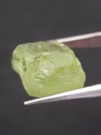 Natural Green Peridot - 10.005 ct - rough gemstone - for fac, Nieuw