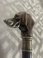 Wandelstok - Jachthond - Zilver 925/1000 - Italië, Hout,, Antiek en Kunst