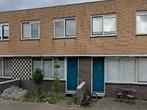 Huis Diepenbeekplantsoen in Amsterdam, Overige soorten, Noord-Holland