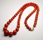 Koraal - Rode koralen gegradueerde ronde kralen -