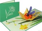 Prachtige narcis met libelle pop-up kaart | Narcissus wen..., Nieuw, Verzenden
