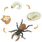 Safari Ltd - Speelfiguur levenscyclus Vliegend Hert (Kever), Kinderen en Baby's, Nieuw