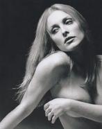 Terry ONeill (attribuée à ) - Sharon Tate 1968