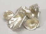 Golden Mushroom Platinum 250 gram Paddenstoel, Ophalen of Verzenden, Nieuw