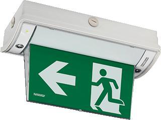 Famostar pro PPA-1 noodverlichtingsarmatuur, Huis en Inrichting, Lampen | Overige, Verzenden