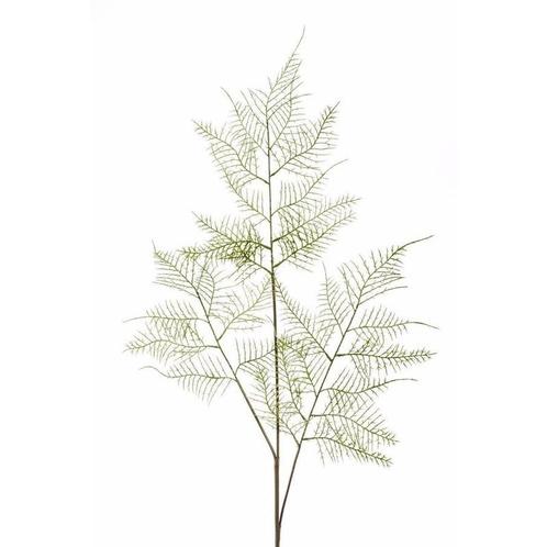 Kunstplant aspergeplant tak - 80 cm - groen - decoratie ta.., Huis en Inrichting, Kamerplanten, Ophalen of Verzenden