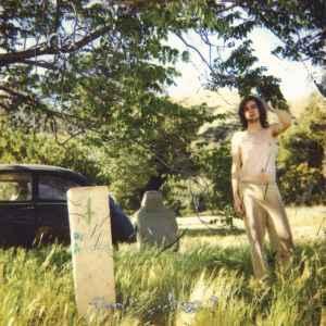 cd - Ariel Pinks Haunted Graffiti - The Doldrums, Cd's en Dvd's, Cd's | Overige Cd's, Zo goed als nieuw, Verzenden