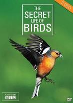Secret Life Of Birds (2dvd) - DVD, Cd's en Dvd's, Dvd's | Documentaire en Educatief, Verzenden, Nieuw in verpakking