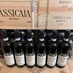 2023 Pira Luigi, Nebbiolo - Piëmont DOC - 6 Flessen (0.75, Nieuw