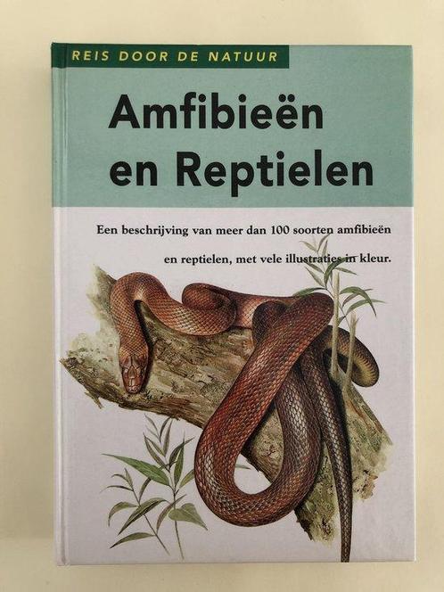 AmfibieÃ«n en Reptielen 9789039600832 V.Lanka en Z Vit, Boeken, Overige Boeken, Gelezen, Verzenden