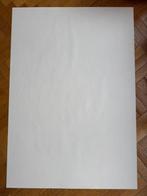 Wanddecoratie - Hergé - Tintin in Congo - Gesigneerde, Nieuw