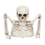 Halloween Skelet 20cm, Hobby en Vrije tijd, Feestartikelen, Nieuw, Verzenden