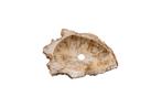 Fossiel Waskom  45x30x14 cm | Versteend Hout, Huis en Inrichting, Verzenden, Nieuw, Wastafelkast