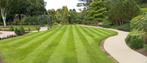 Premium Graszoden, Tuin en Terras, Planten | Tuinplanten