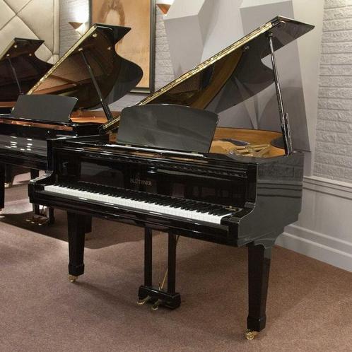 Blüthner Vleugels, Muziek en Instrumenten, Piano's