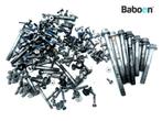 Bouten en Moeren Triumph Tiger 1050 2007-2012, Motoren, Onderdelen | Overige, Verzenden, Gebruikt