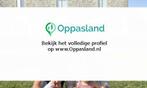Nathan zoekt een oppas in Den Haag voor 2 kinderen voor 4...
