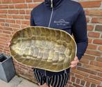 Fruitschaal - Metaal - Schildpad Schildpad Brons/Goud