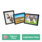 Lightbox foto | Sakura Pink, Ophalen of Verzenden, Nieuw