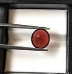 Zonder Minimumprijs - 1 pcs Rood Granaat - 5.09 ct -, Nieuw