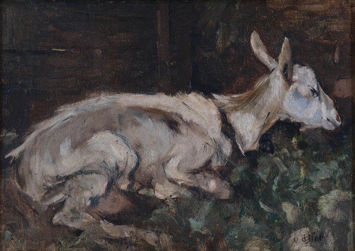 Willem Hendrik van der Nat (1864–1929) - Liggende geit, Antiek en Kunst, Kunst | Schilderijen | Klassiek