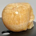 calciet Oranje calciet schedel - Hoogte: 14 cm - Breedte: 10