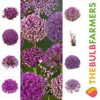 Bloembollen - 48 x Alliums pakket - Collection, Tuin en Terras, Bloembollen en Zaden, Verzenden, Voorjaar, Volle zon, Bloembol