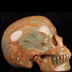 268g Dino-ei-achat schedel - Orakel van de versteende wereld