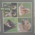 TOEPOELS HONDENENCYCLOPEDIE 9789023006602 Toepoel, Boeken, Verzenden, Gelezen, Toepoel