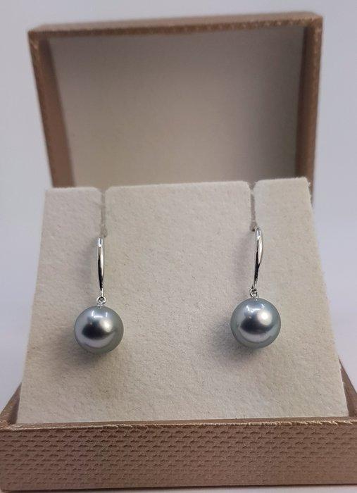 Zonder Minimumprijs - Oorbellen Zilver - 8x9 mm Tahitiaanse, Sieraden, Tassen en Uiterlijk, Oorbellen