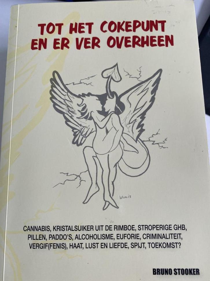 Tot het cokepunt en er ver overheen 9789081079969, Boeken, Romans, Gelezen, Verzenden