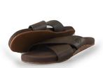 Timberland Sandalen in maat 45 Bruin | 10% extra korting, Kleding | Heren, Schoenen, Sandalen, Bruin, Verzenden, Timberland