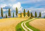 Het mooiste huisje van de Toscana zetten wij te huur!, Vakantie, Rolstoelvriendelijk, In bos, Eigenaar, Toscane