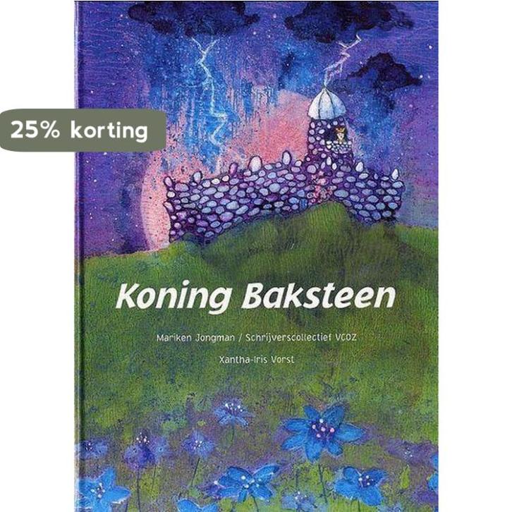 Koning Baksteen 9789077065389 Mariken Jongman, Boeken, Prentenboeken en Plaatjesalbums, Gelezen, Verzenden