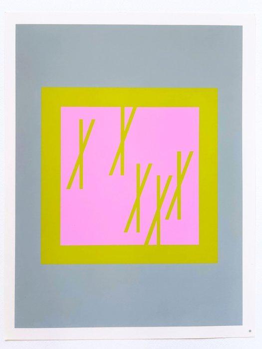 Josef Albers (1888-1976) - Interaction of Colors - XXII-2, Antiek en Kunst, Antiek | Overige Antiek