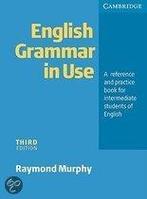 English Grammar In Use Without Answers 9780521532907, Zo goed als nieuw