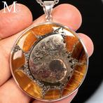 Jurassic sieraden Hanger – Pyriet-gefosilieerde ammoniet -