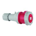 ABL CEE 5-polig contra stekker - 63A 400V - Rood, Verzenden, Nieuw