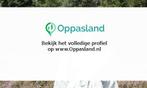 Ik ben chantal, 19 jaar oud en ik zoek oppaswerk in IJsse..., Nieuw