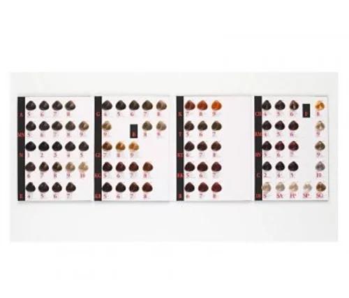 KIS Kappers Kleurenkaart (Kleurboeken), Sieraden, Tassen en Uiterlijk, Uiterlijk | Haarverzorging, Nieuw, Verzenden