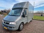 Leuke 2-paards Fiat paardenwagen te koop!, Dieren en Toebehoren, Paarden en Pony's | Trailers en Aanhangwagens, Ophalen, Zo goed als nieuw